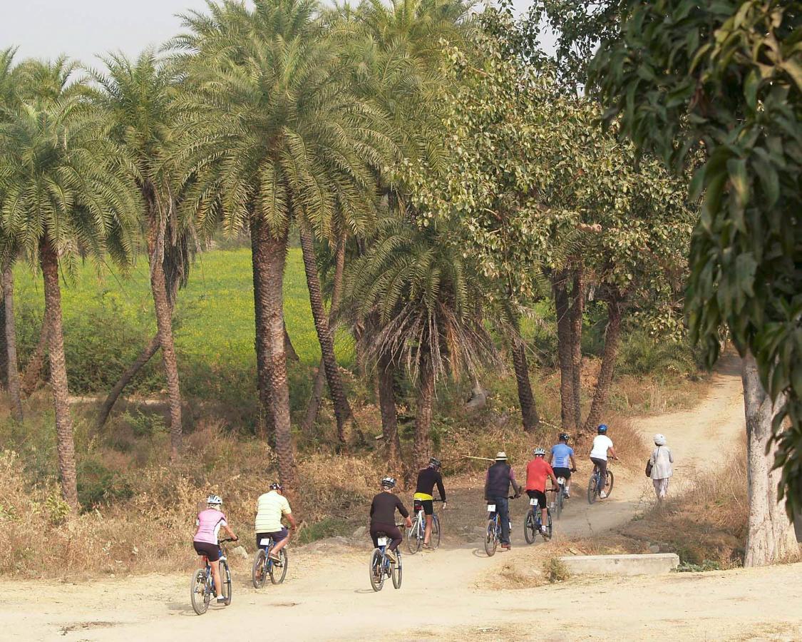 Отель Shahpura Bagh Экстерьер фото